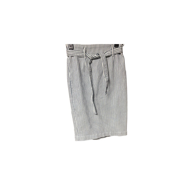J. Crew Railroad Stripe Denim Skirt
